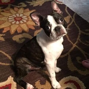 Meet your Posher, Nancy